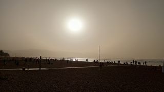 GC-Paseo Las Canteras (Las Palmas) 2026-163.jpg